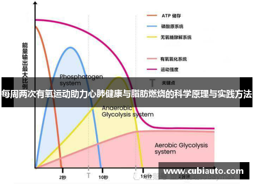 每周两次有氧运动助力心肺健康与脂肪燃烧的科学原理与实践方法